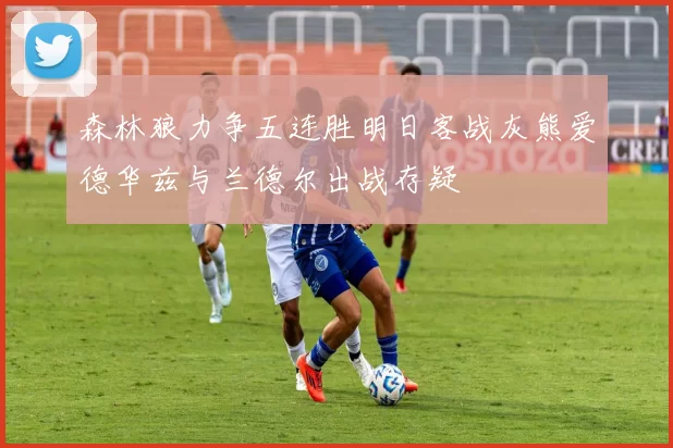 森林狼力争五连胜明日客战灰熊爱德华兹与兰德尔出战存疑